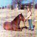 The first time I ever touched a horse, it touched me back in my heart! Age 14 w.