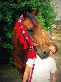 Mandy and her Arabian mare Spirit of Dansk 
