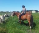 My beautiful pony Shelby by Cheveaux and i. Green grass, sunshine and friends to share it with :)